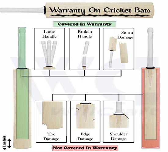 WillCraft Scoop Cricket Bat Basic & Hard Hitter Profile Suitable