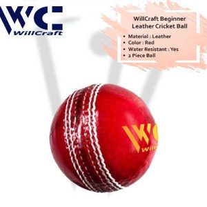 WillCraft-Beginner-Leather-Cricket-Ball_cover-image.jpeg