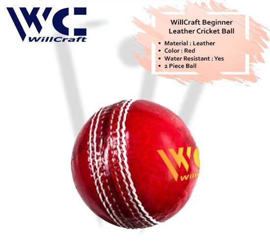 WillCraft-Beginner-Leather-Cricket-Ball_cover-image.jpeg