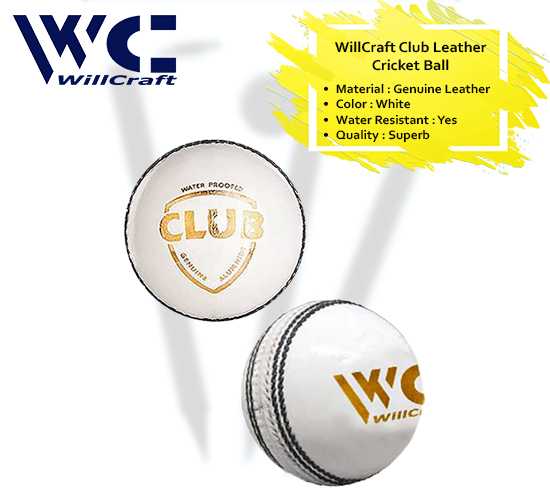 WillCraft-Club-ball_white_cover-image.jpeg