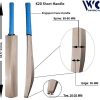 WillCraft-K20-SH-Kashmir-Willow-Plain-Cricket-Bat_New.jpg