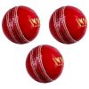 WillCraft-Training-ball_pack-of-3.jpeg