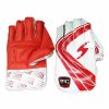 WillCraft-WG2-Wicket-Keeping-Gloves-1.jpeg