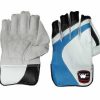 WillCraft-WG3-Wicket-Keeping-Gloves-1.jpeg
