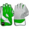 WillCraft-WG5-Wicket-Keeping-Gloves-1.jpeg