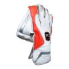 WillCraft-WG6-Wicket-Keeping-Gloves-1.jpeg