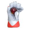 WillCraft-WG6-Wicket-Keeping-Gloves.jpeg