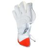 WillCraft-WG6-Wicket-Keeping-Gloves-2.jpeg