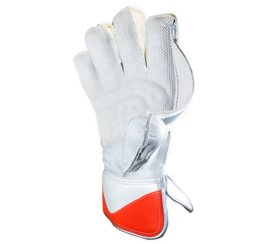 WillCraft-WG6-Wicket-Keeping-Gloves-2.jpeg