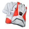 WillCraft-WG6-Wicket-Keeping-Gloves-4.jpeg