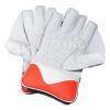 WillCraft-WG6-Wicket-Keeping-Gloves-5.jpeg