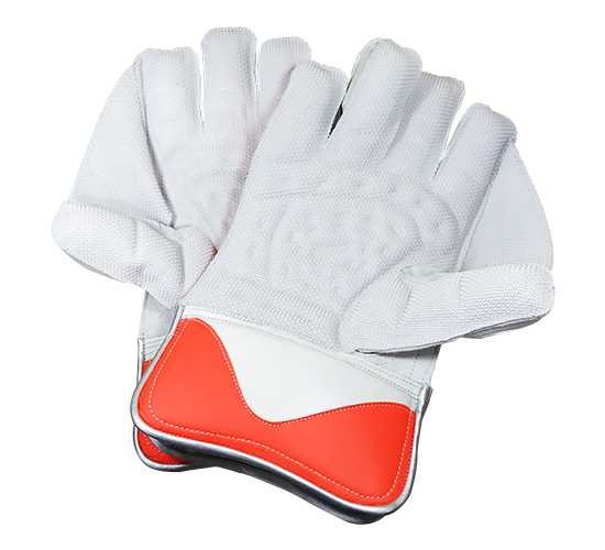 WillCraft-WG6-Wicket-Keeping-Gloves-5.jpeg