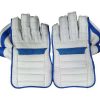 WillCraft-WG7-wicket-keeping-gloves-1.jpg