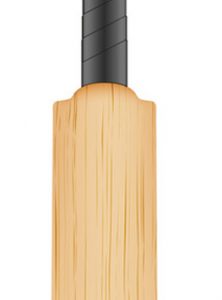 cricket bat wood
