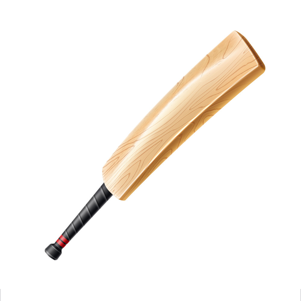 How to Choose Cricket Bat Cricket bat length Weight of cricket bat