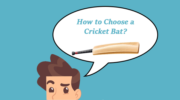 cricket bats