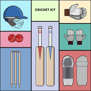 cricket kit price