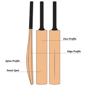 high quality cricket bat price