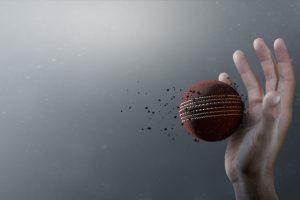 Cricket Ball In Flight