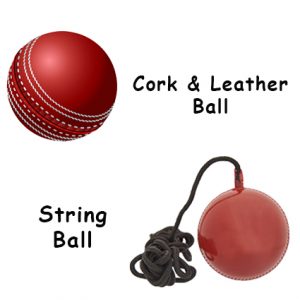 weight of the cricket ball
