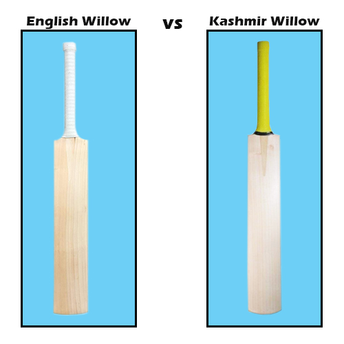 willow cricket